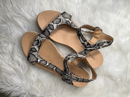 Sandals Flats By Lucky Brand  Size: 9.5 Supply