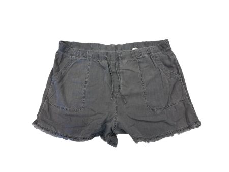 Shorts By Time And Tru  Size: Xxl For Discount