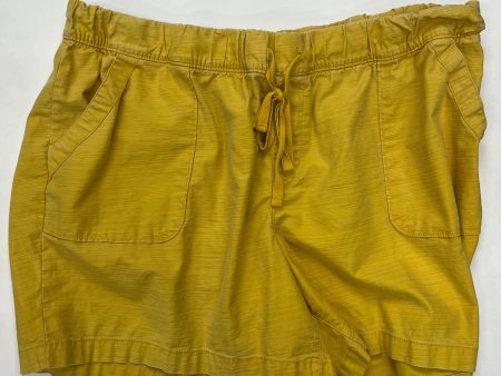 Shorts By Lane Bryant  Size: 20 Discount