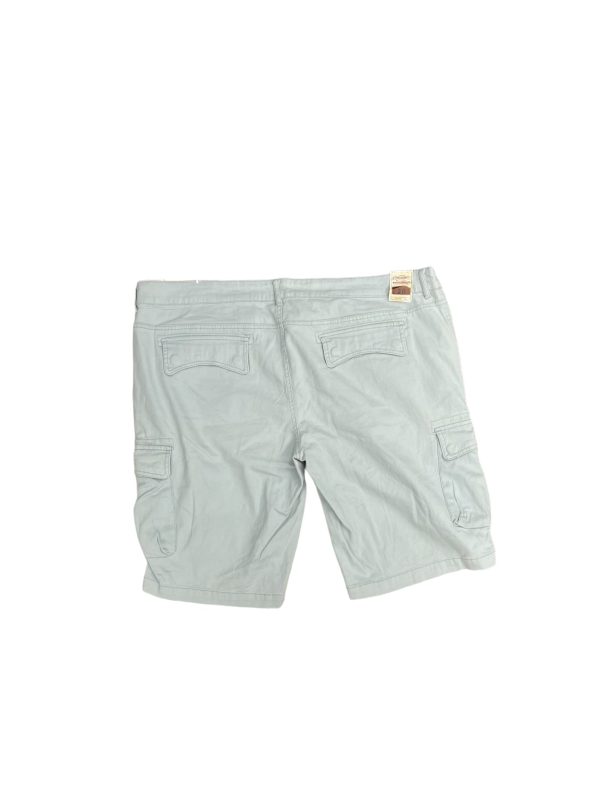 Shorts By AUTHENTIC RUGGED COMPANY Size: 20 For Discount