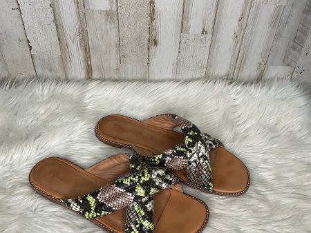 Sandals Flats By Madewell  Size: 10 For Discount