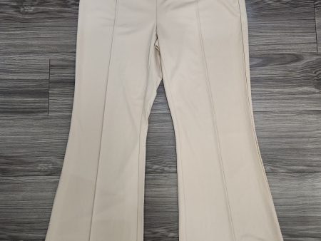 Pants Palazzo By Clothes Mentor  Size: Xl Online Sale