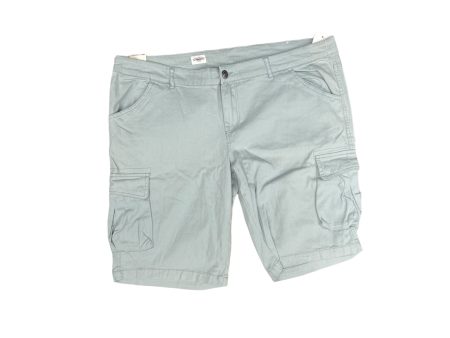 Shorts By AUTHENTIC RUGGED COMPANY Size: 20 For Discount