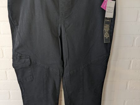 Pants Ankle By Diane Gilman  Size: 14 For Sale