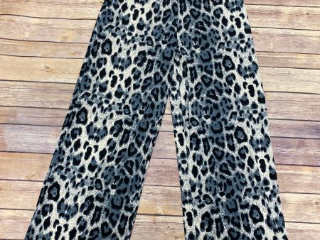 Pants Palazzo By Clothes Mentor  Size: M Online Hot Sale