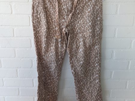 Pants Ankle By Anthropologie  Size: 2 Online Hot Sale