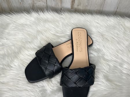 Sandals Flats By Coconuts  Size: 7 Online