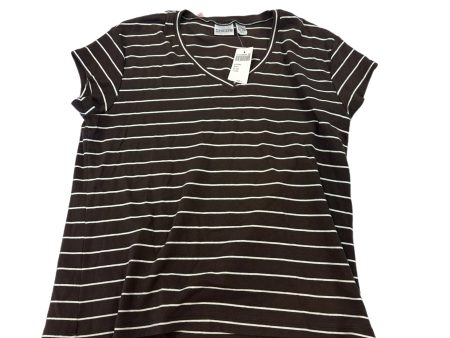 Top Short Sleeve Basic By Chicos  Size: 3 (16) Online Sale