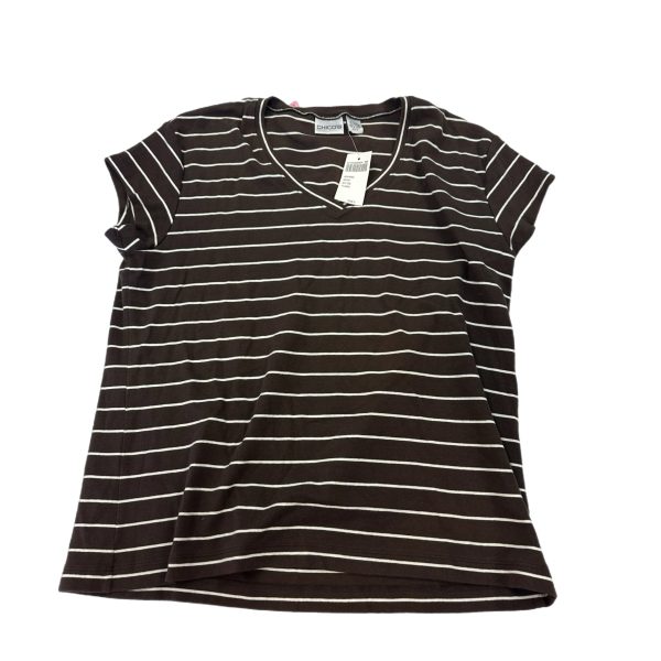 Top Short Sleeve Basic By Chicos  Size: 3 (16) Online Sale