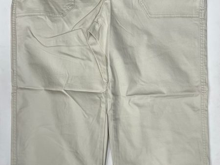 Pants Work dress By Gap NWT Size: 12 on Sale