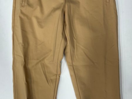 Pants Ankle By Debbie Shuchat  Size: 12 on Sale