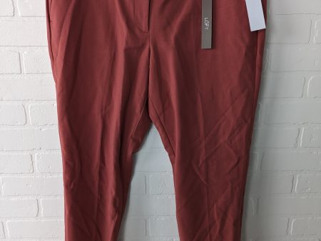 Pants Ankle By Loft  Size: 14 Online Sale