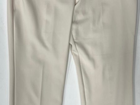 Pants Ankle By Ann Taylor  Size: 16 For Discount