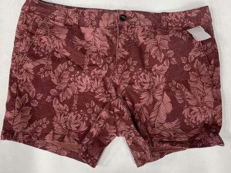 Shorts By Ana  Size: 14 Online