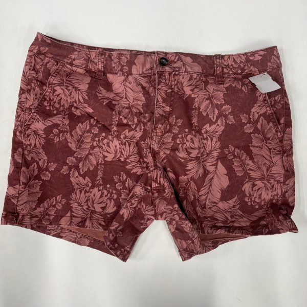 Shorts By Ana  Size: 14 Online