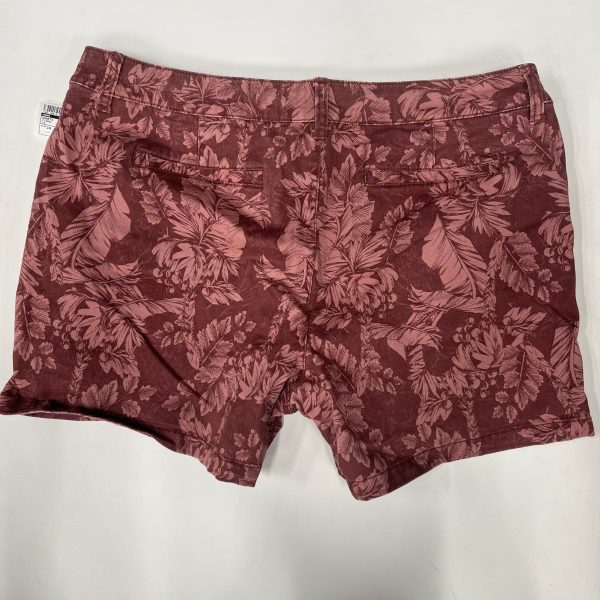 Shorts By Ana  Size: 14 Online