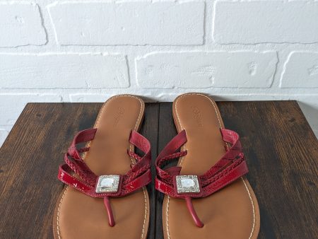 Sandals Flip Flops By Brighton  Size: 8.5 Online